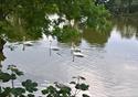 The Horns Dam