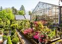 Flower selection in The Glass House