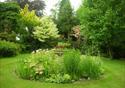 The gardens at The Ridges.  Various tree varieties, a decorative plant display and a stone goblet of red flowers planted within.