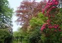 The colourful gardens at The Ridges awaits guests of The Ridges.