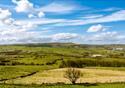 The Dog Inn at Belthorn