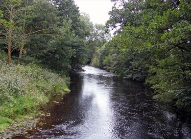 Scorton Picnic Site