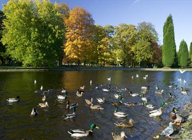 Thompson Park Burnley