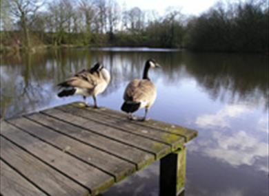 Abbey Lakes