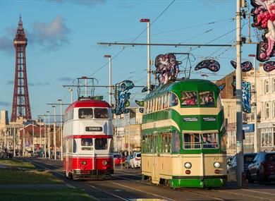 Heritage Trams