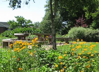 Jean Stansfield Park with benches and yellow flowers