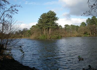 Cuerden Valley Park