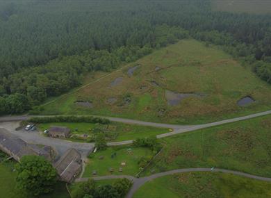 Gisburn Forest