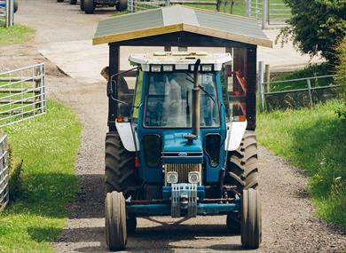 Farmer Ted's Farm Park