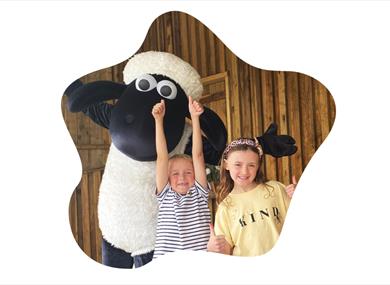 Farmer Ted's Farm Park