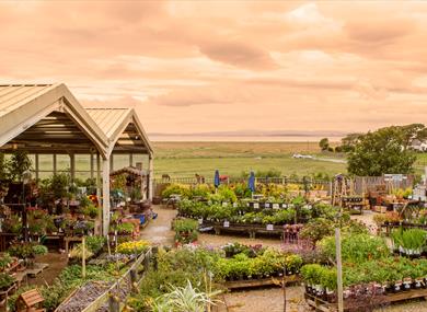 Bay View Garden Centre