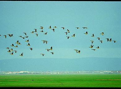 The Ribble Estuary Regional Park