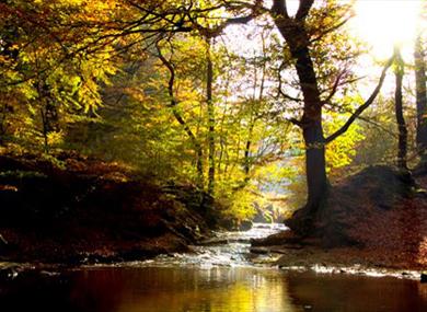 Witton park by the river