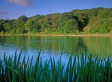 Yarrow Valley Country Park