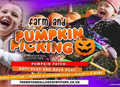 Pumpkin Picking at Thornton Hall Farm