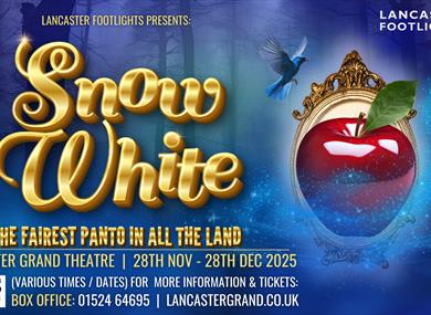 Snow White Family Panto