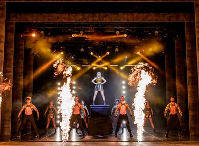 The Bodyguard