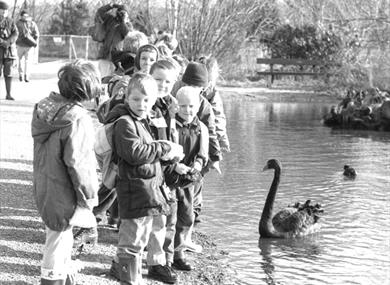 50th Anniversary Exhibition at WWT Martin Mere