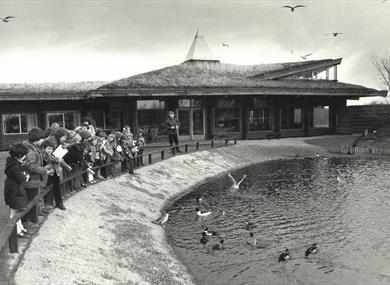 50th Anniversary Before and After Trail at WWT Martin Mere