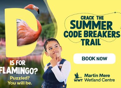 Summer Codebreakers Trail at WWT Martin Mere
