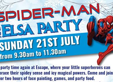 Spider-Man and Elsa Party