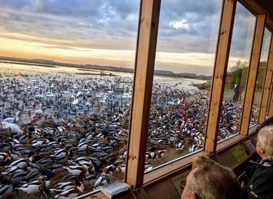 North West Bird Watching Festival 2025