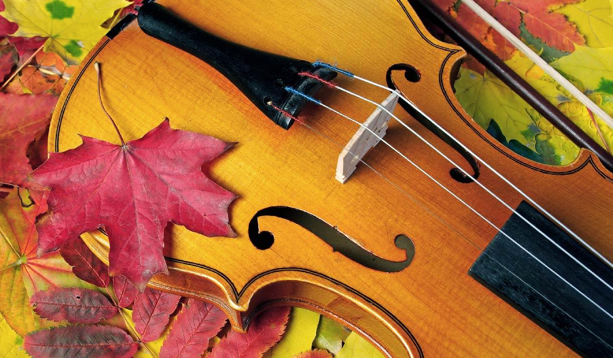 Colne Orchestra Presents an Autumn Concerto