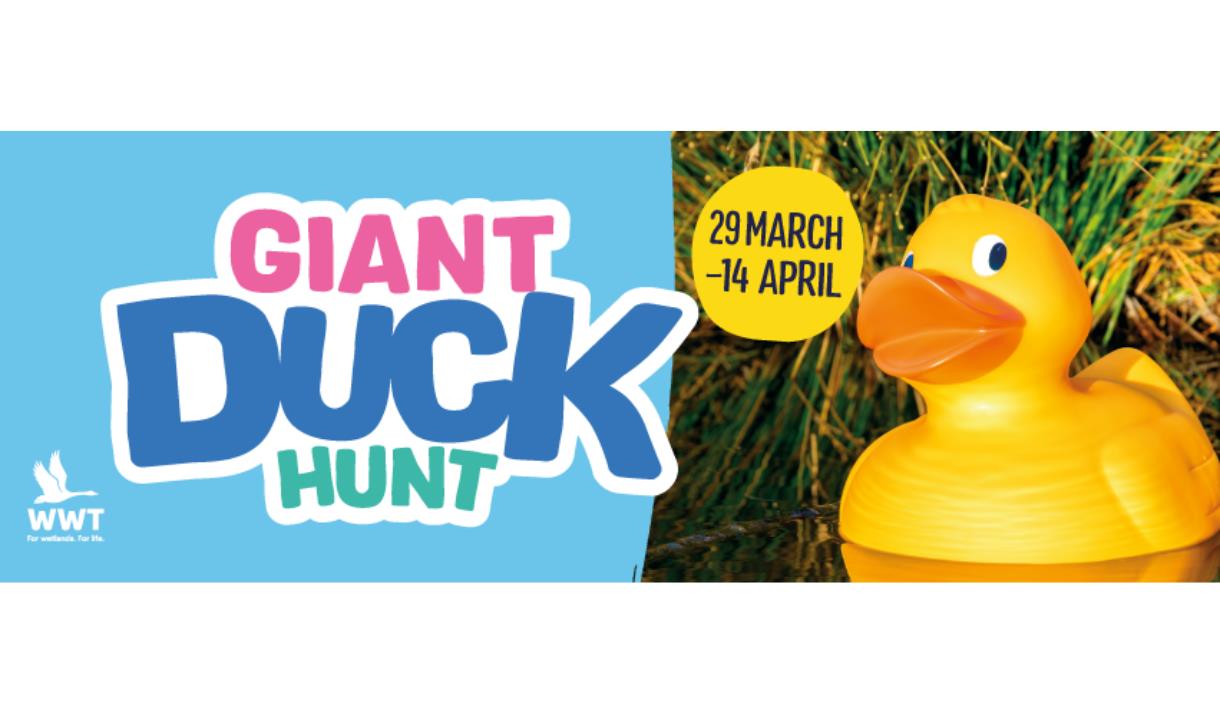 Easter Giant Duck Hunt at WWT Martin Mere