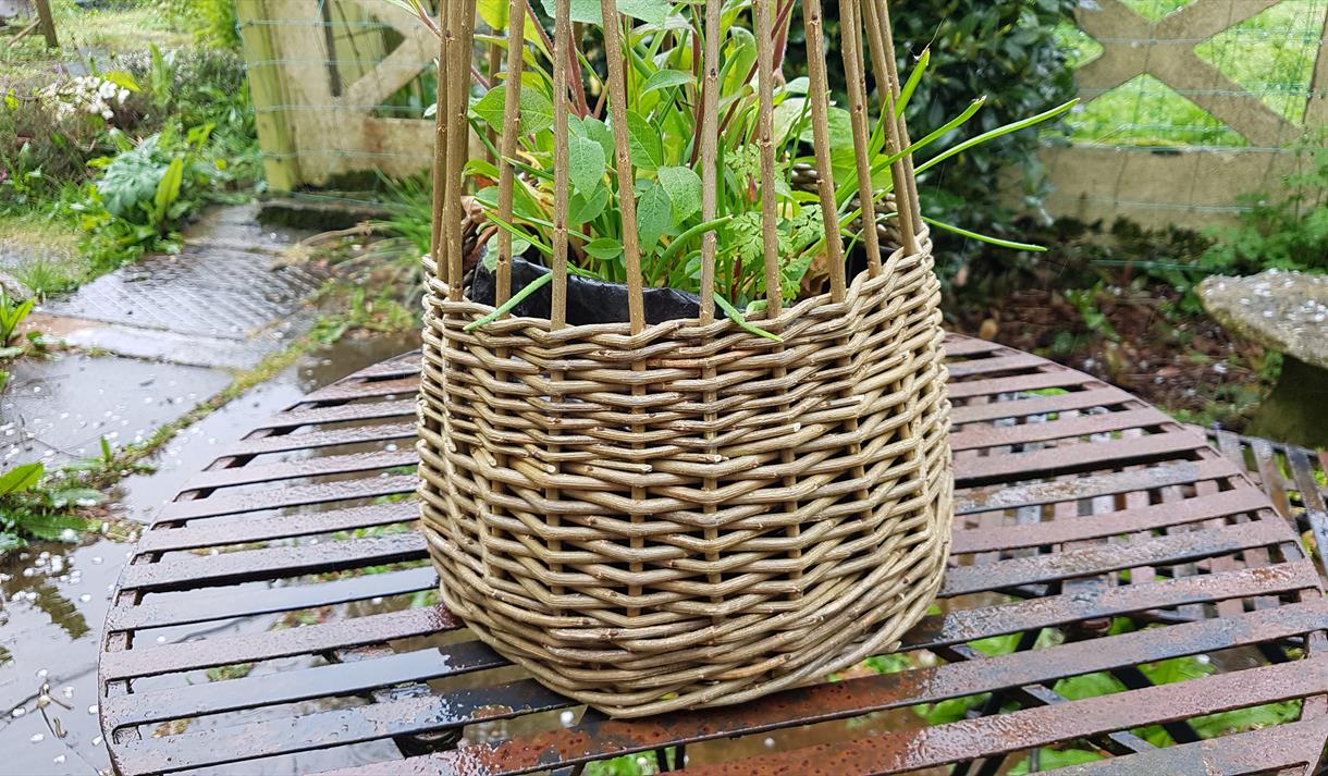 Willow Basket Workshop with Pip Cottage at Holden Clough Nursery