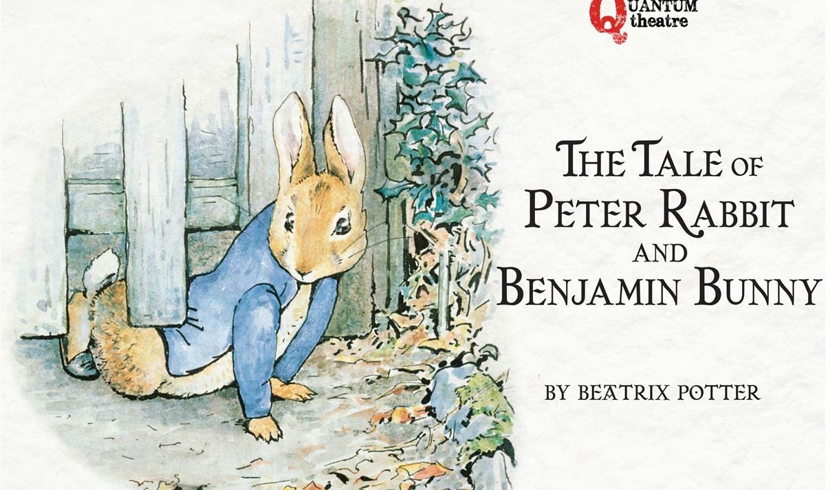 The tale of Peter Rabbit and Benjamin Bunny