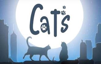 The Sound of Musical Theatre Company presents Cats