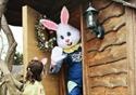 Easter Fun on Ridgeway Farm