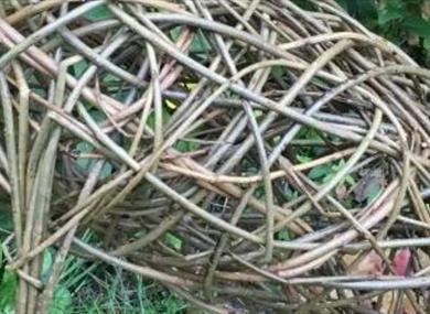 The Rewilding: March Hare Willow Sculpture Workshop