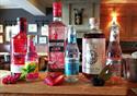 Selection of gins