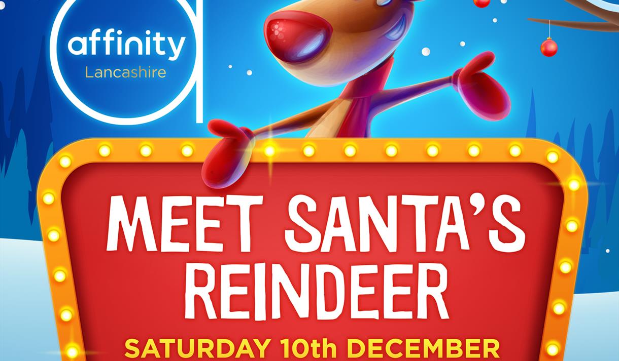 Meet Santa's Reindeer!