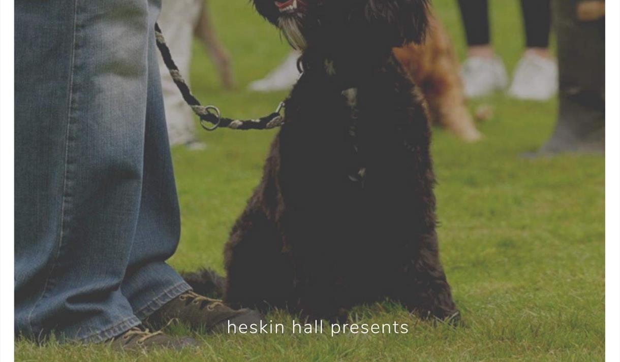 HESKIN HALL FUN DOG SHOW