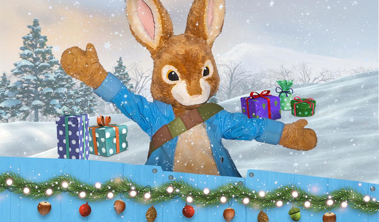 A Christmas Adventure with Peter Rabbit
