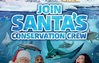 Santa's Conservation Crew