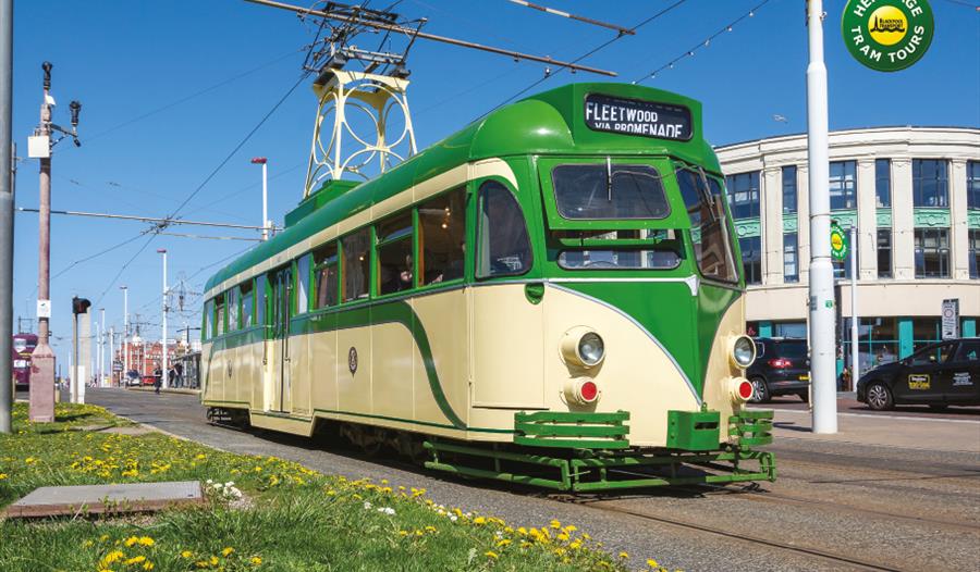Heritage Tram Tours Easter Gold