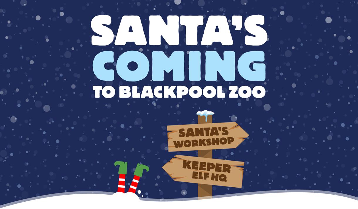 Santa's coming to Blackpool Zoo