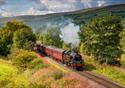 Steam train travelling through countryside