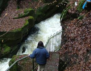 Healey Dell - Chapel