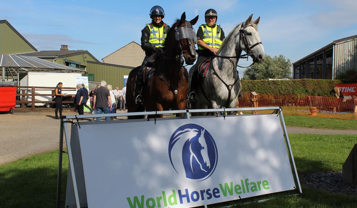 World Horse Welfare Open Day