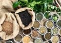 selection of herbs and spices