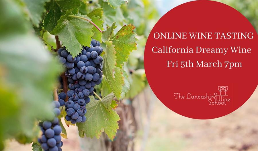California Dreamy Wine (Online tasting)