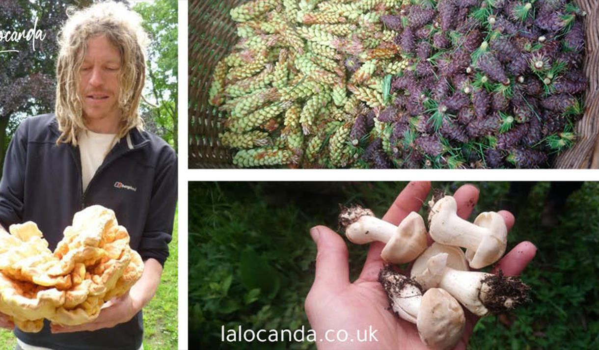 Lancashire Foraging Experience and Exclusive Dinner