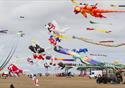 Kite Festival displays