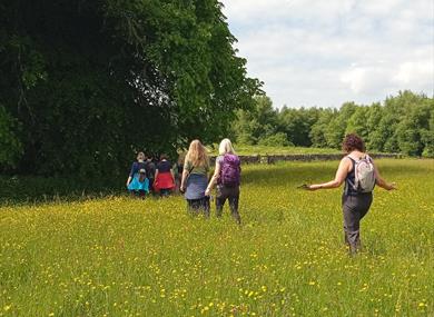 Seven women walking away from the camera through a field of summer meadow flowers.