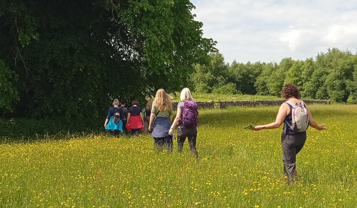 Seven women walking away from the camera through a field of summer meadow flowers.