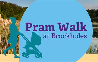 Pram Walk at Brockholes Nature Reserve